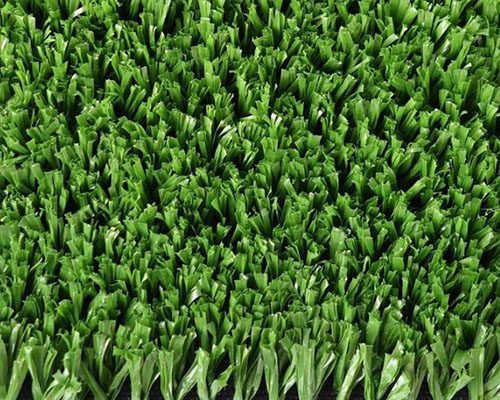 網(wǎng)球場草絲